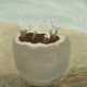 WINIFRED NICHOLSON (1893-1981) - photo 1