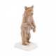 Meissen. PORCELAIN STANDING BEAR - фото 1