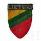 An Arm Shield for Lithuanian Territorial Corps - photo 1