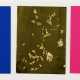 Yves Klein. Triptyque de Krefeld - Foto 1