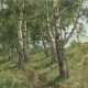 Birch Trees by the Senezh Lake, signed and dated 1968, also further signed, titled in Cyrillic and dated “1968 avgust” on the reverse. - photo 1