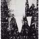 GLENN LIGON (b. 1960) - Foto 1