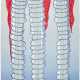 LOUISE BOURGEOIS (1911-2010) - фото 1