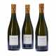 Ulysse Collin, Les Enfers Blanc de Blancs Extra Brut NV - photo 1