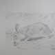 Beuys, Joseph (1921 Krefeld - 1986 Düsseldorf) - "… - photo 1