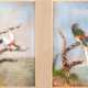 2 Vogeldarstellung aus Vogelfedern, je 10x7 cm, im Passepartout hinter Glas und Rahmen - Foto 1
