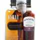 2 Whiskyflaschen 1x Bowmore, Islay, Single Malt Sc… - фото 1