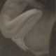GEORGE H. SEELEY (1880-1955) - photo 1