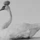 Bernadette Lahmer. Untitled (Schwan mit Stein) - фото 1