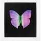 DAMIEN HIRST (B. 1965) - photo 1