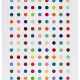 DAMIEN HIRST (B. 1965) - photo 1