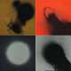 Adolf Luther. Kleiner Jupiter, Pony moon, Kleine Rakete, Kleine Jo - фото 1