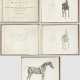 George Stubbs - Foto 1