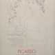 Plakat "Picasso Suite Vollard-Museu d´ Árt Espanyol...", 80x54 cm, hinter Glas (besch.) - фото 1