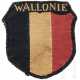Ärmelschild für Angehörige der 28. SS-Freiwilligen-Grenadier-Division "Wallonien" - photo 1