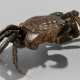 Modell eines Taschenkrebses aus Bronze mit beweglichen Beinen und Scheren - Foto 1