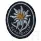An SS Bergführer Insignia - photo 1