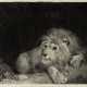 GEORGE STUBBS (1724-1806) - photo 1