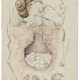BEATRIX POTTER (1866-1943) - Foto 1
