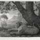 GEORGE STUBBS (1724-1806) - photo 1