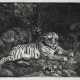 GEORGE STUBBS (1724-1806) - фото 1