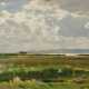 Salt Marshes on Baltic Sea Lagoon - photo 1