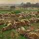Resting Sheep Herd - фото 1