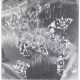 BILLY AL BENGSTON (1934-2022) - photo 1