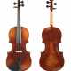 Violine - Foto 1