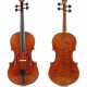 Viola - photo 1