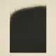 Arnulf Rainer. Wald - photo 1