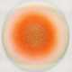 Kuno Gonschior. Untitled - photo 1