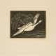 Gerhard Marcks. Adler und Schwan - photo 1