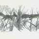 Robert Hainard - photo 1