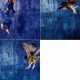 Jan Fabre. Mixed Lot of 3 Photographs - фото 1