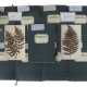 Umfangreiches Herbarium mit ca. 311 gesammelten un… - photo 1