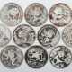 Sammlung von 10 Panda-Silbermünzen China, 1989/90/… - photo 1