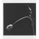 ROBERT MAPPLETHORPE (1946-1989) - photo 1