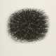 Günther Uecker. Untitled - photo 1