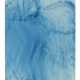 WOLFGANG TILLMANS (B. 1968) - photo 1