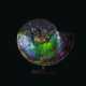 AN EXCEPTIONALLY VIBRANT IRIDESCENT AMMONITE - photo 1