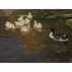 Alexander Koester. Ducks on a pond - photo 1