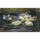 Alexander Koester. Six ducks in a pond - photo 1