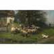 Ernst Meissner. The priest's spitz - photo 1