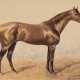 Sperling, H. "Pferd", Druck, Blatt stockfleckig, 23,5x29 cm, im Passepartout hinter Glas und Rahmen - photo 1