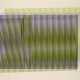 Carlos Cruz-Diez. Ohne Titel - фото 1