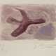 Braque, Georges - photo 1