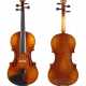 Violine - photo 1