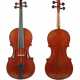 Violine - photo 1