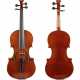 Violine - photo 1